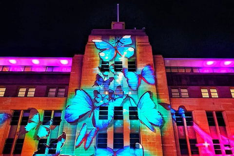 Vivid 90-Minute Sydney Harbour Small Group Catamaran Cruise - Accommodation Gladstone 0