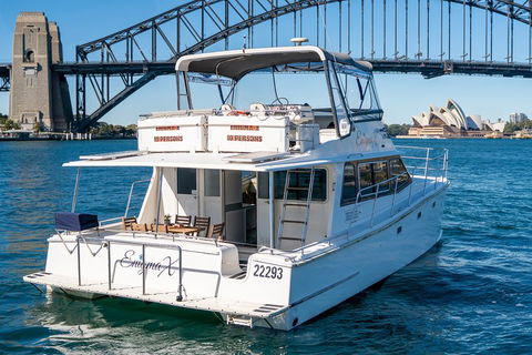 Vivid 90-Minute Sydney Harbour Small Group Catamaran Cruise - Accommodation Gladstone 4