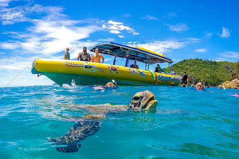Great Barrier Reef Scenic Flight And Ocean Rafting Whitehaven Beach Day Trip - Accommodation Gladstone 1