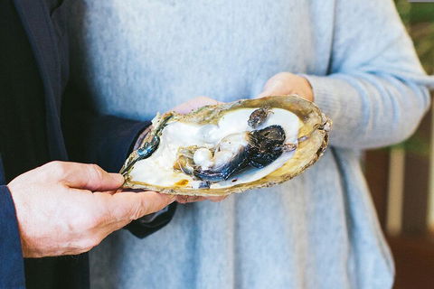 Half-Day Willie Creek Pearl Farm Tour With Helicopter Flight - Accommodation Gladstone 3