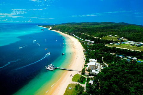 Tangalooma Island Resort Whale Watching Day Cruise - Accommodation Gladstone 2