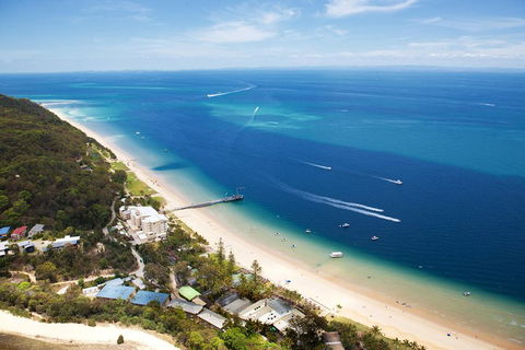 Tangalooma Island Resort Whale Watching Day Cruise - Accommodation Gladstone 3