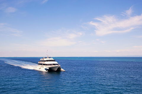 Tangalooma Island Resort Whale Watching Day Cruise - Accommodation Gladstone 5