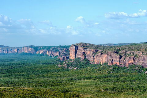 Jabiru 60 Minute Scenic Flight - Accommodation Gladstone 4