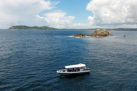 Julian Rocks Byron Bay Cruise - Accommodation Gladstone 5