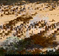 Pinnacles Sunset Dinner and Stargazing Experience a Small Group Tour - Accommodation Gladstone