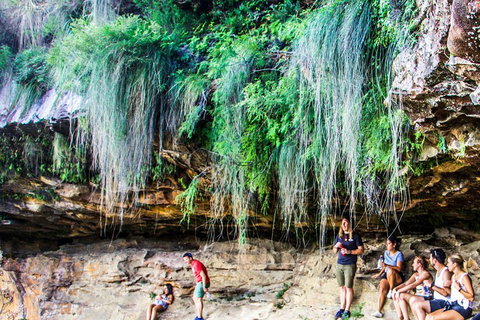Sunset Blue Mountains Wilderness & Wildlife Tour Without The Crowds - Accommodation Gladstone 1