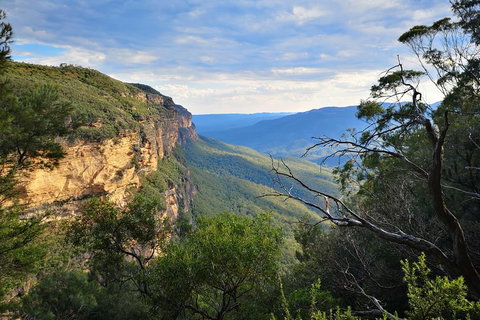 Sunset Blue Mountains Wilderness & Wildlife Tour Without The Crowds - Accommodation Gladstone 2