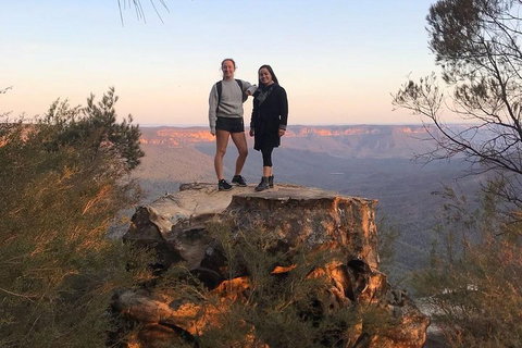 Sunset Blue Mountains Wilderness & Wildlife Tour Without The Crowds - Accommodation Gladstone 3
