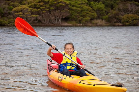 Kangaroo Island Self-Guided Kayaking On The Harriet River - Accommodation Gladstone 1