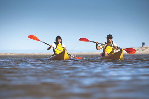 Kangaroo Island Self-Guided Kayaking On The Harriet River - Accommodation Gladstone 2