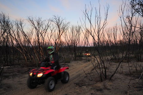 Kangaroo Island Quad Bike (ATV) Tours - Accommodation Gladstone 1