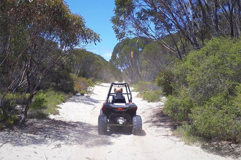 Kangaroo Island Quad Bike (ATV) Tours - Accommodation Gladstone 4