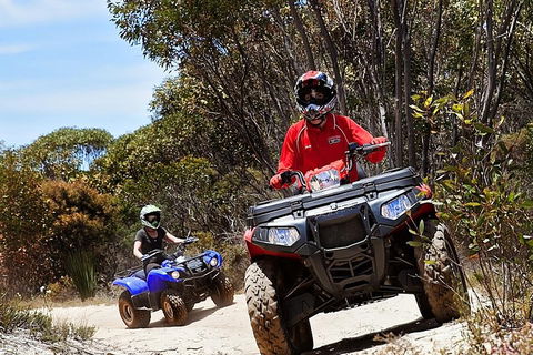Kangaroo Island Quad Bike (ATV) Tours - Accommodation Gladstone 5