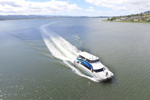 2.50 Hour Afternoon Discovery Cruise Including Cataract Gorge Departing At 3 Pm - Accommodation Gladstone 0