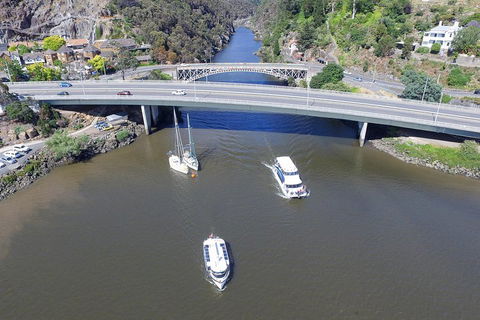 2.50 Hour Afternoon Discovery Cruise Including Cataract Gorge Departing At 3 Pm - Accommodation Gladstone 1