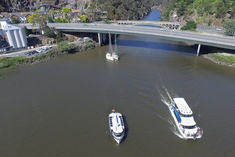 2.50 Hour Afternoon Discovery Cruise Including Cataract Gorge Departing At 3 Pm - Accommodation Gladstone 5
