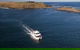 Phillip Island Seal-Watching Cruise - thumb 1