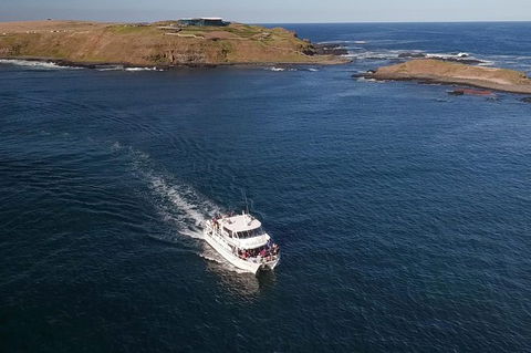 Phillip Island Seal-Watching Cruise - Accommodation Gladstone 1