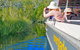 Noosa Everglades Serenity Cruise & Highlights Tour Inc. Lunch & Cruise - thumb 2
