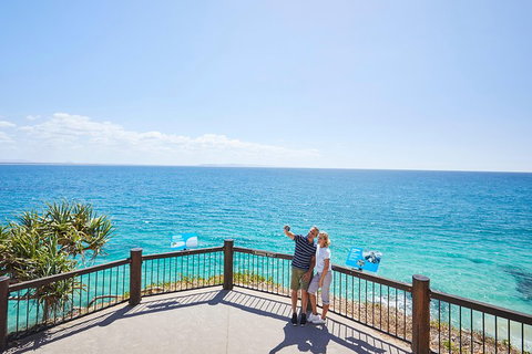 Noosa Everglades Serenity Cruise & Highlights Tour Inc. Lunch & Cruise - Accommodation Gladstone 3