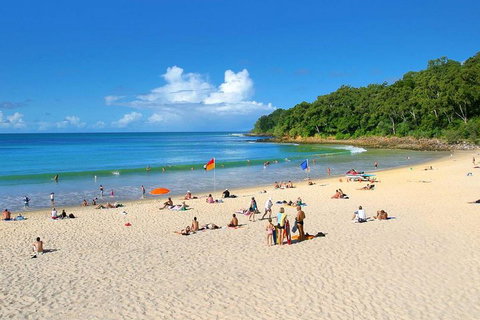Noosa Everglades Serenity Cruise & Highlights Tour Inc. Lunch & Cruise - Accommodation Gladstone 4