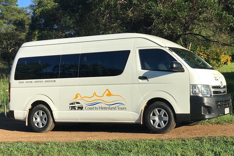 Noosa Everglades Serenity Cruise & Highlights Tour Inc. Lunch & Cruise - Accommodation Gladstone 5