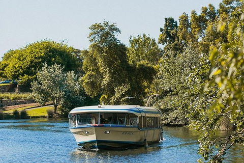 High Tea Cruise On Popeye - Accommodation Gladstone 3