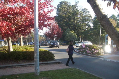 PRIVATE All-Day Blue Mountains Tour With Professional Guide For Up To 4 People - Accommodation Gladstone 1