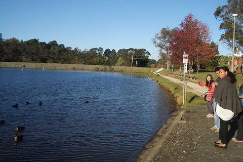 PRIVATE All-Day Blue Mountains Tour With Professional Guide For Up To 4 People - Accommodation Gladstone 2