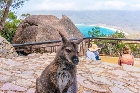 Wineglass Bay & Freycinet NP Full Day Tour From Hobart Via Richmond Village - Accommodation Gladstone 0