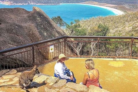 Wineglass Bay & Freycinet NP Full Day Tour From Hobart Via Richmond Village - Accommodation Gladstone 1
