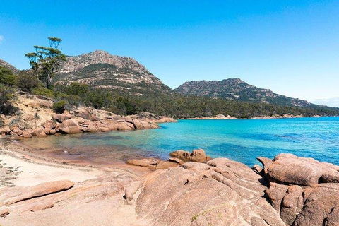 Wineglass Bay & Freycinet NP Full Day Tour From Hobart Via Richmond Village - Accommodation Gladstone 5