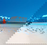 Margaret River and Geographe Bay Region Day Trip from Perth - Accommodation Gladstone