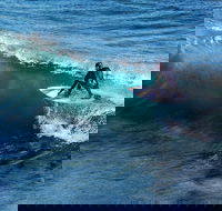 Great Ocean Road Highlights Tour - 2 Days 1 Night - Accommodation Gladstone