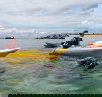 Seal Island and Penguin Island or Point Peron Sea Kayak Tour - Accommodation Gladstone