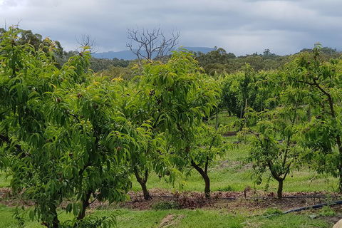 Yarra Valley Wineries And Rayners Orchard Tour From Melbourne - Accommodation Gladstone 2