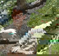 Healesville Sanctuary and Rayners Orchard Tour from Melbourne - Accommodation Gladstone