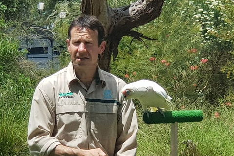 Healesville Sanctuary And Rayners Orchard Tour From Melbourne - Accommodation Gladstone 0