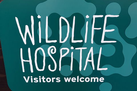 Healesville Sanctuary And Rayners Orchard Tour From Melbourne - Accommodation Gladstone 1