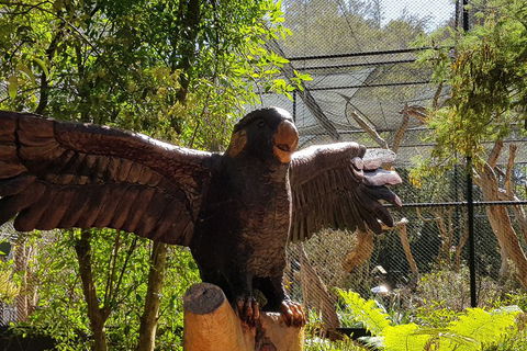 Healesville Sanctuary And Rayners Orchard Tour From Melbourne - Accommodation Gladstone 2
