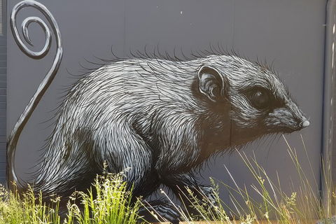 Healesville Sanctuary And Rayners Orchard Tour From Melbourne - Accommodation Gladstone 5