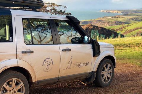 Kangaroo Island 4WD Tour - Best Of KI In 2 Days - Accommodation Gladstone 4