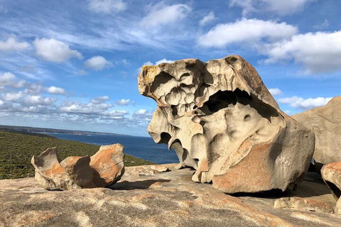 Kangaroo Island 4WD Tour - Best Of KI In 2 Days - Accommodation Gladstone 5