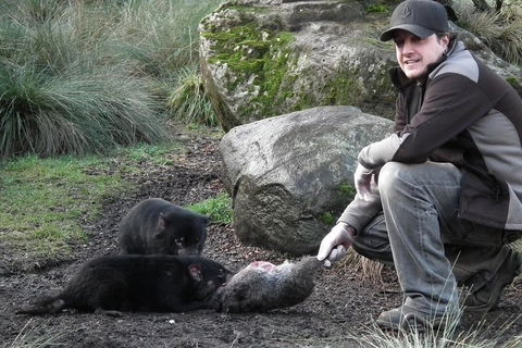 After Dark Tasmanian Devil Feeding Tour At Cradle Mountain - Accommodation Gladstone 2