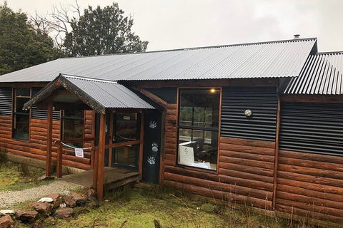 After Dark Tasmanian Devil Feeding Tour At Cradle Mountain - Accommodation Gladstone 3