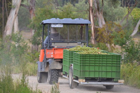 Yarra Valley Private Car Winery Tour And Chocolate.1-7 Passengers One Car Price - Accommodation Gladstone 1