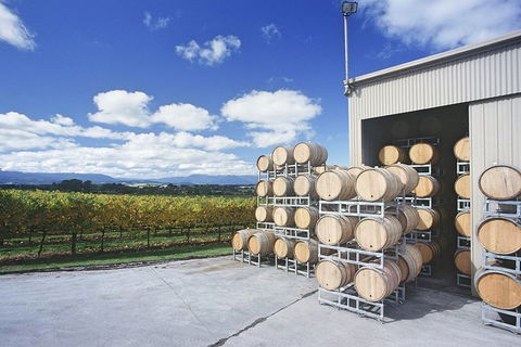Yarra Valley Private Car Winery Tour And Chocolate.1-7 Passengers One Car Price - Accommodation Gladstone 2