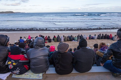 Healesville Sanctuary And Phillip Island Wildlife Bus Tour - Accommodation Gladstone 1