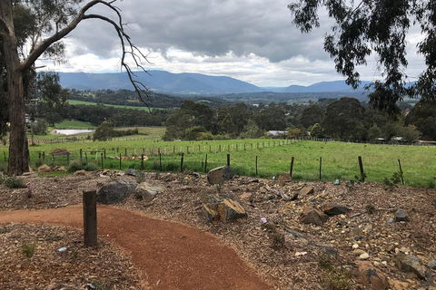 Yarra Valley Wine Tour Inc Lunch With A Glass Of Wine, Tastings And Chocolate - Accommodation Gladstone 0